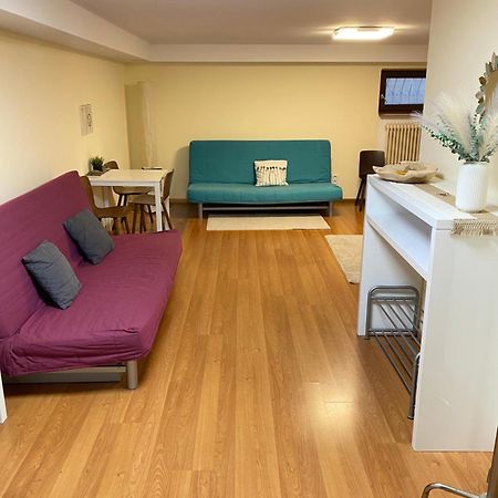 Ruhiges Privates Zimmer In Freiburg, Zentrumsnah, Naehe Europapark Exterior foto